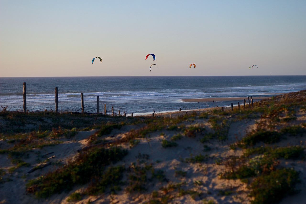 sea  ocean  kites free photo
