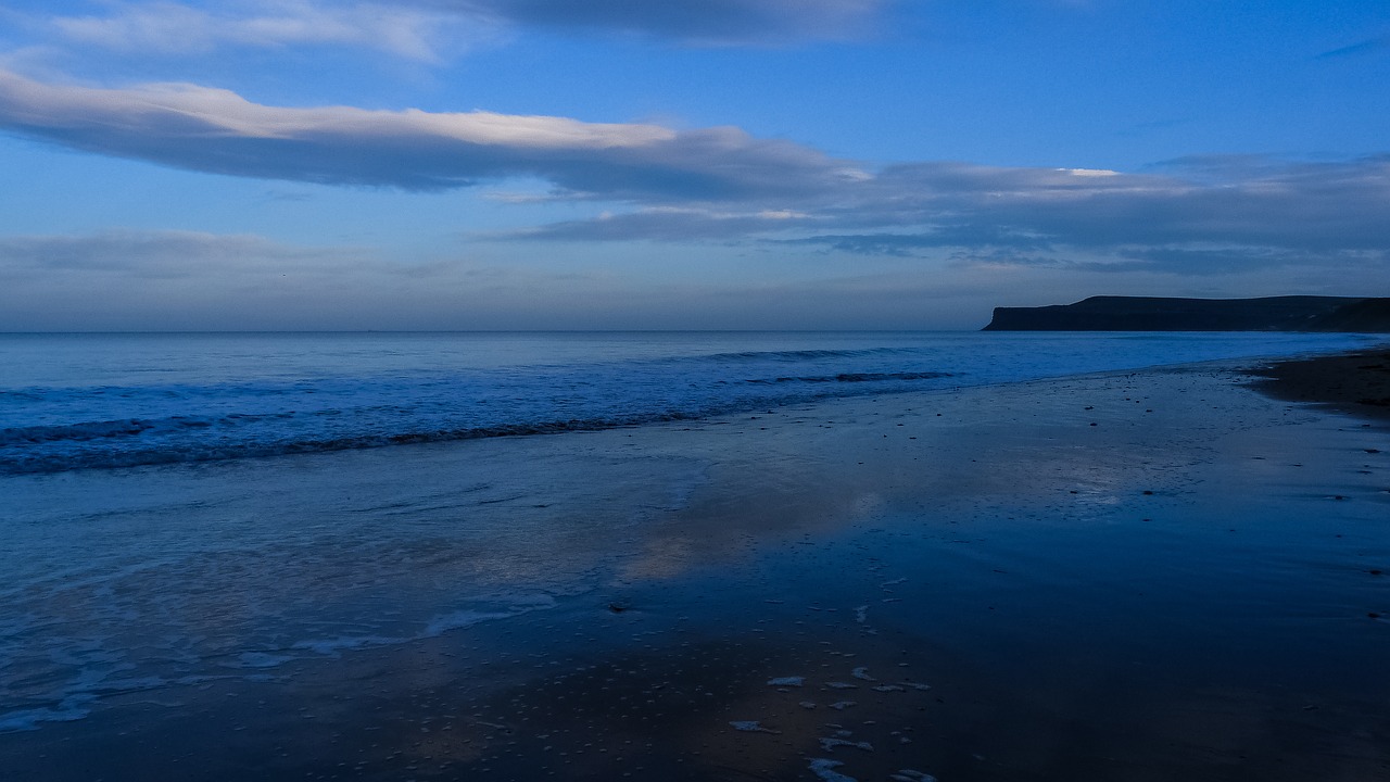 sea  ocean  saltburn free photo