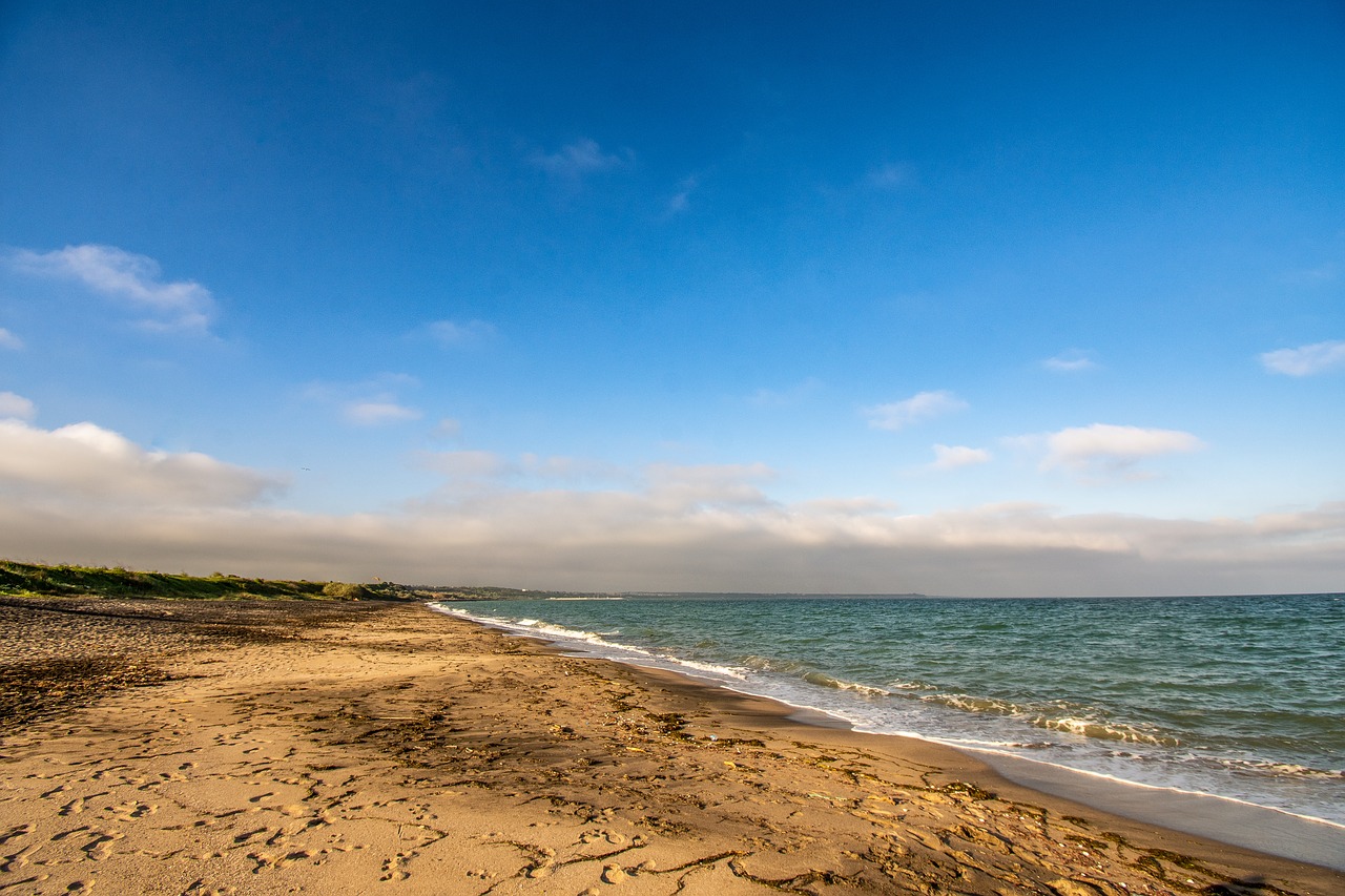 sea  sand  beach free photo