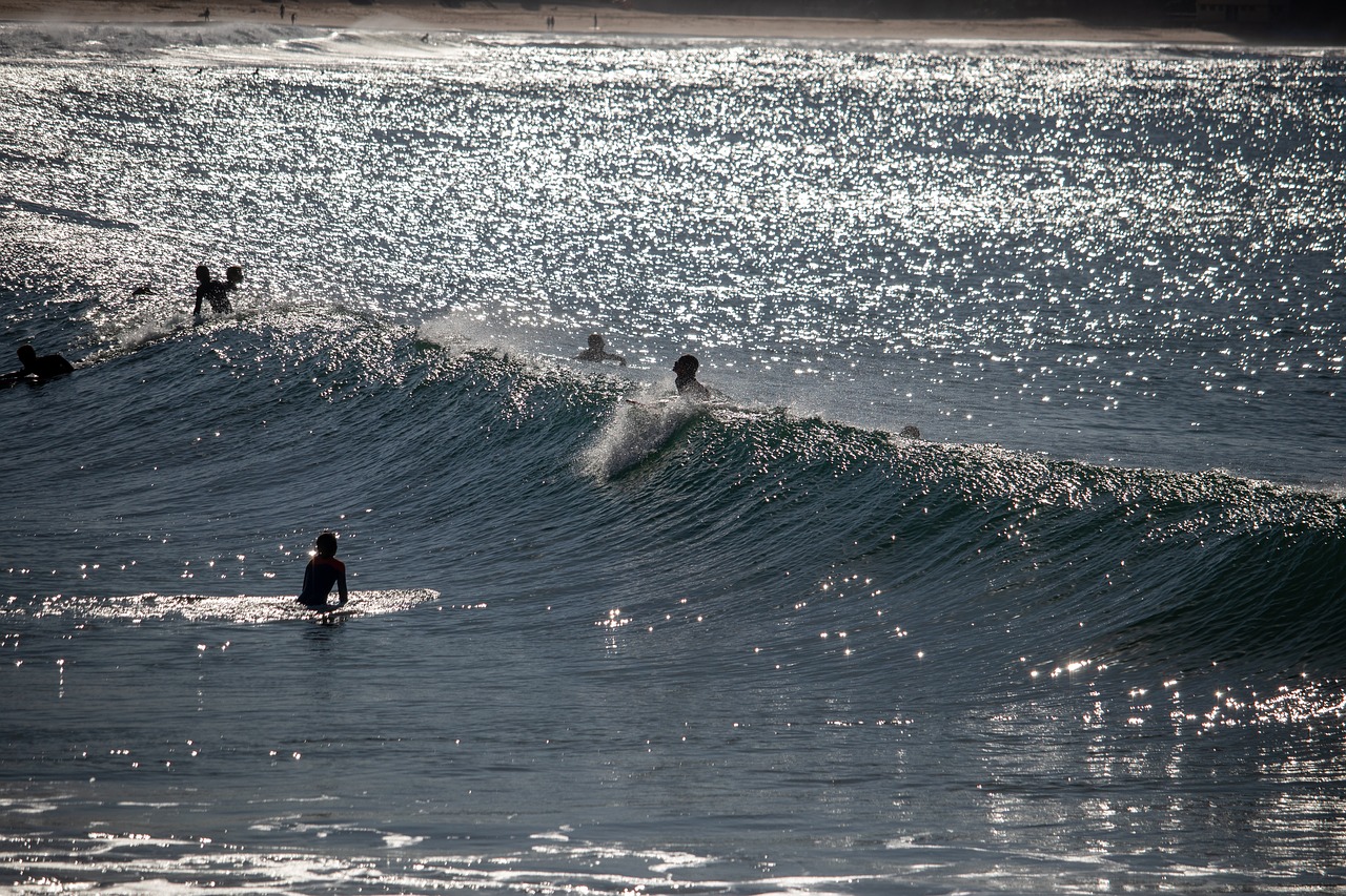 sea  ocean  surf free photo