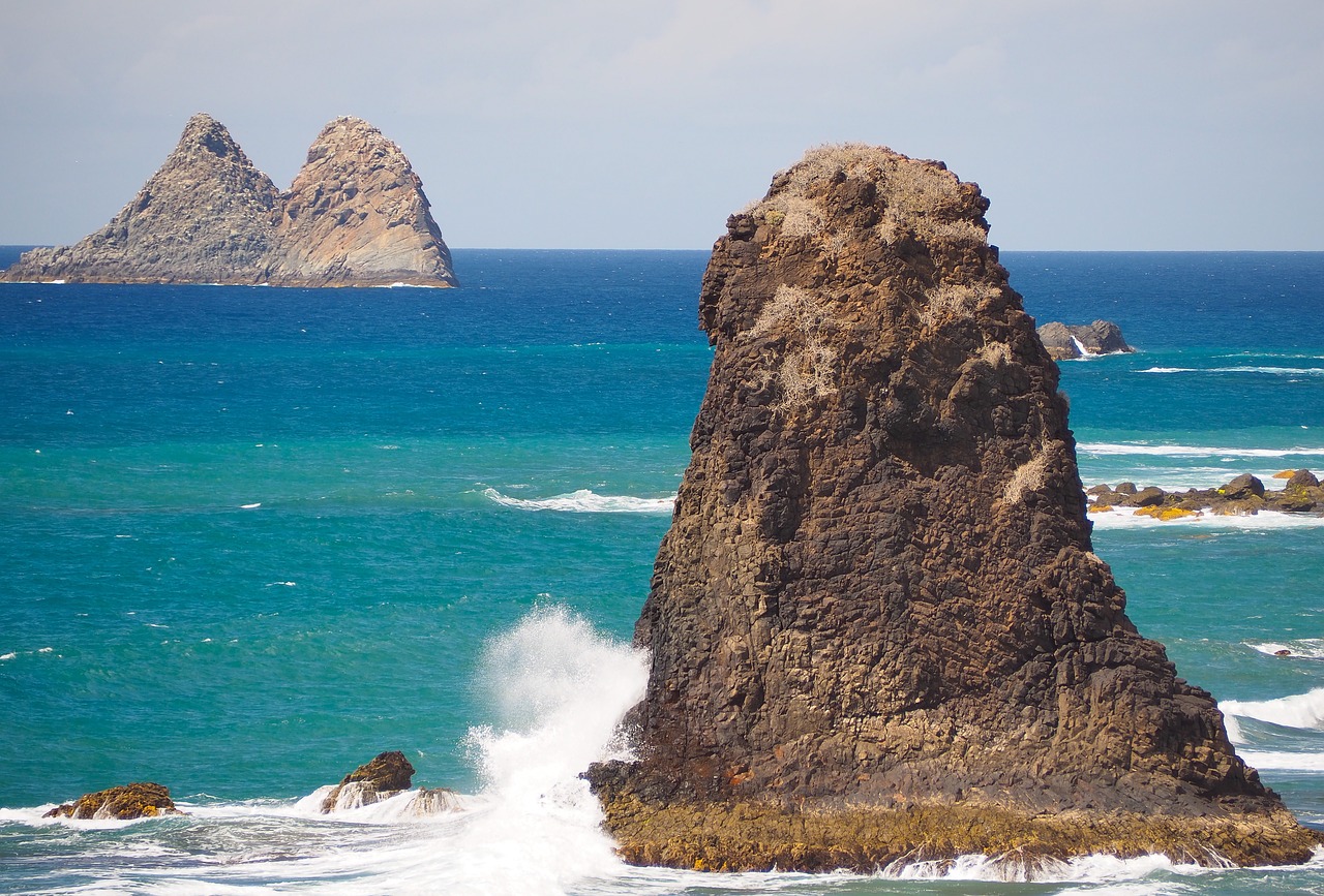 sea  rock  surf free photo