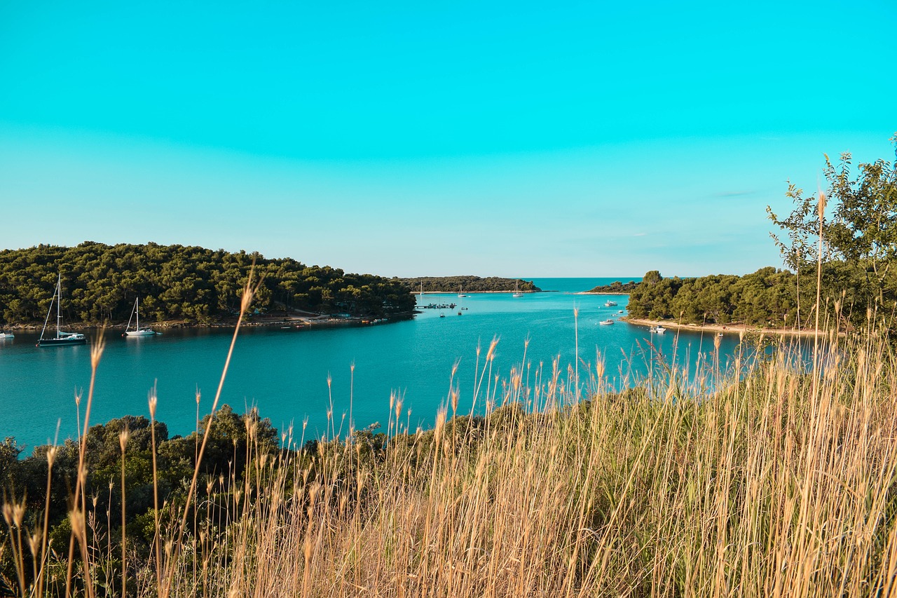 sea  mediterranean  croatia free photo