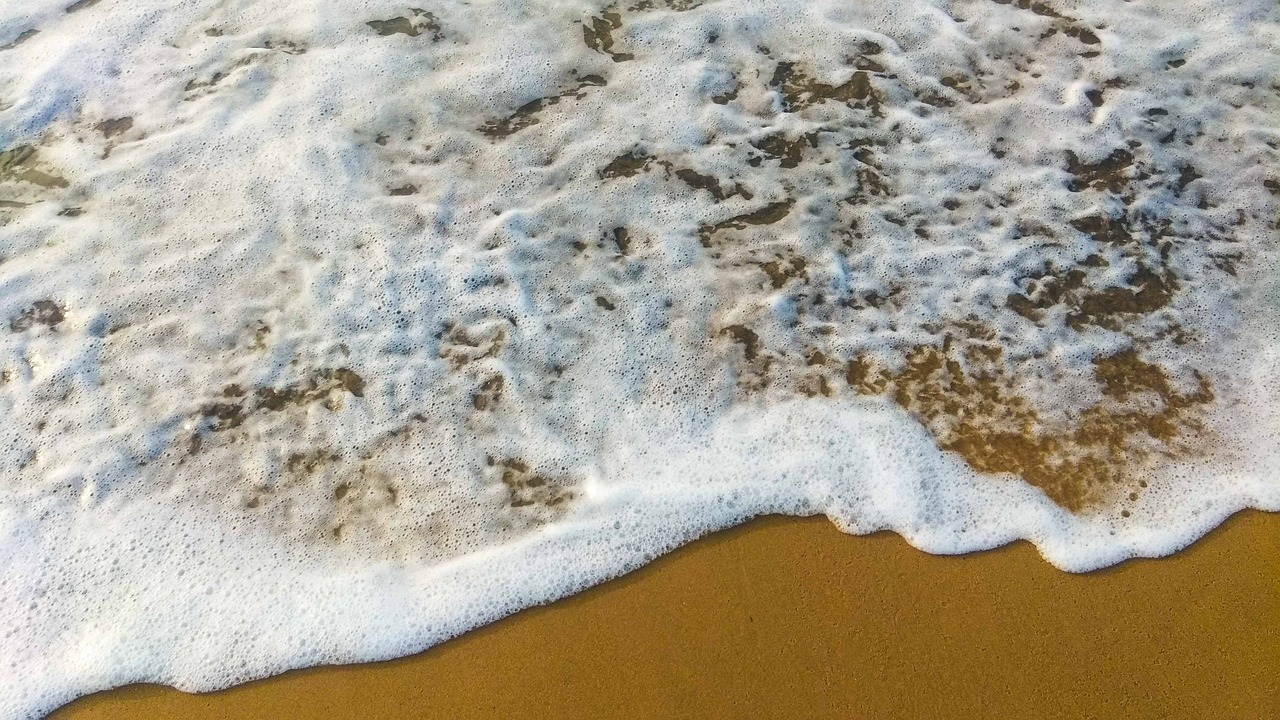sea  waves  foam free photo