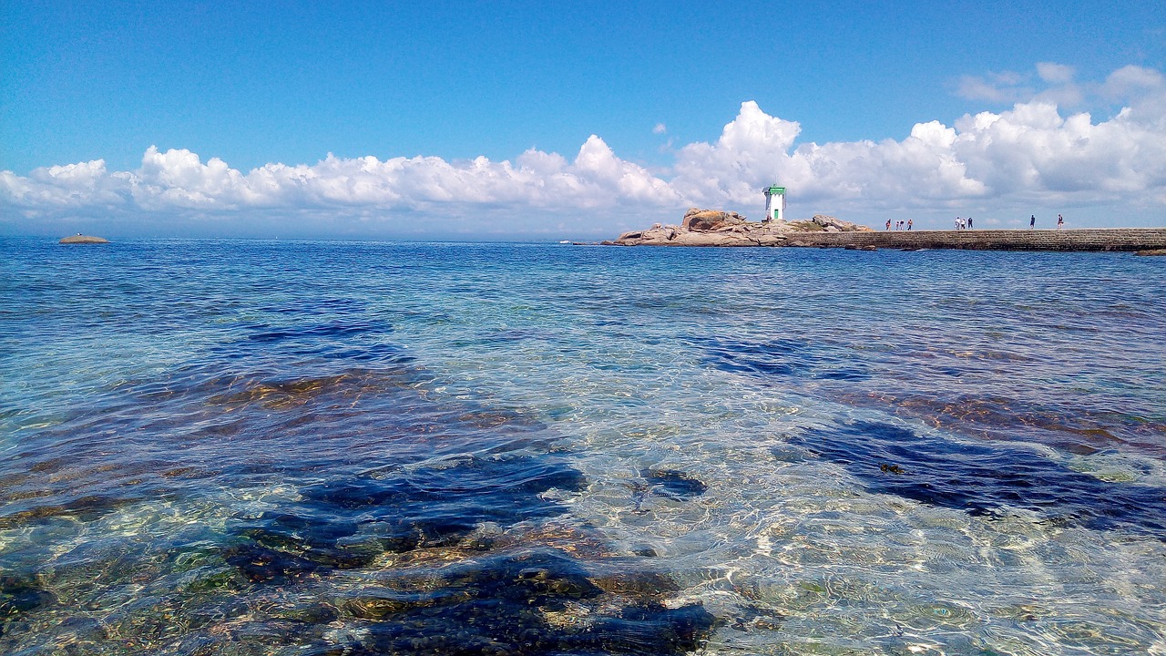 sea  blue  transparent free photo