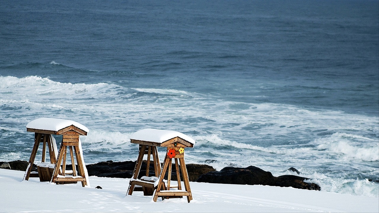 sea  shelter  chair free photo