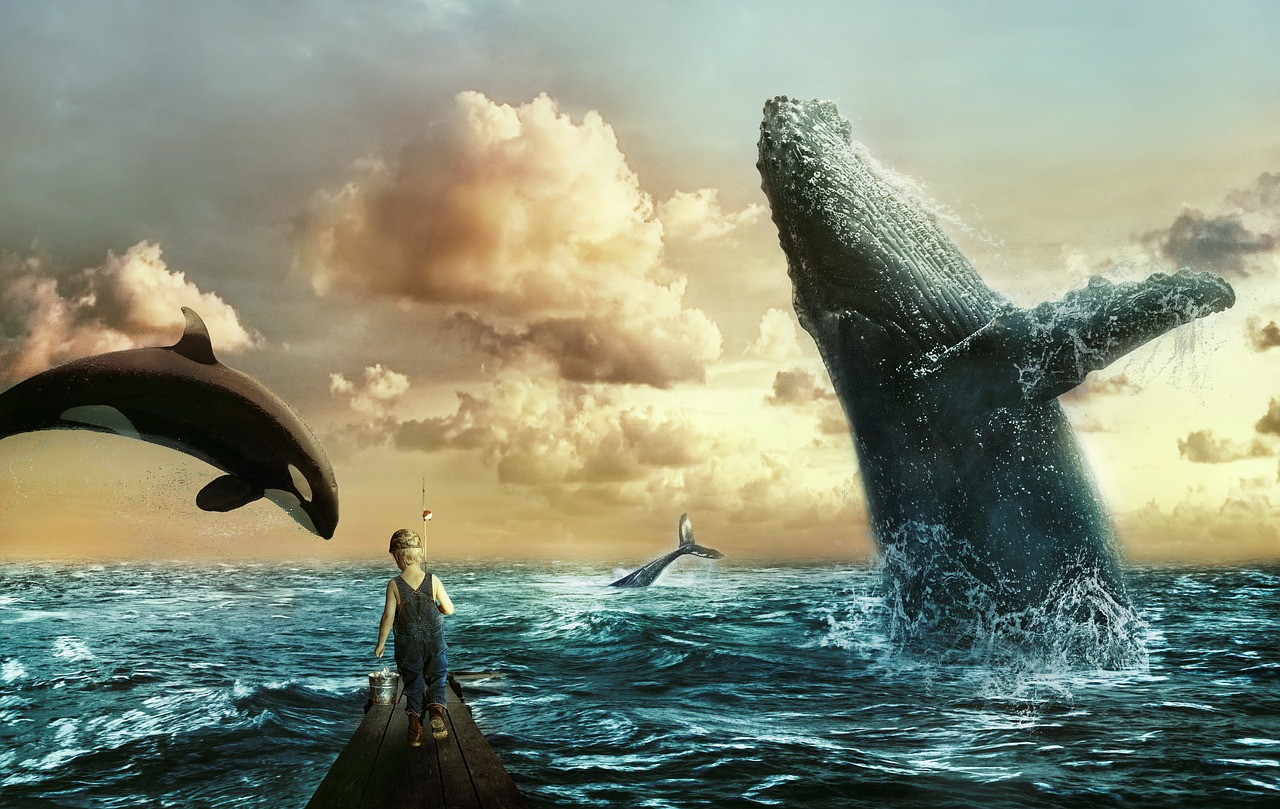 Sea, whales, boy, clouds, sky - free image from needpix.com