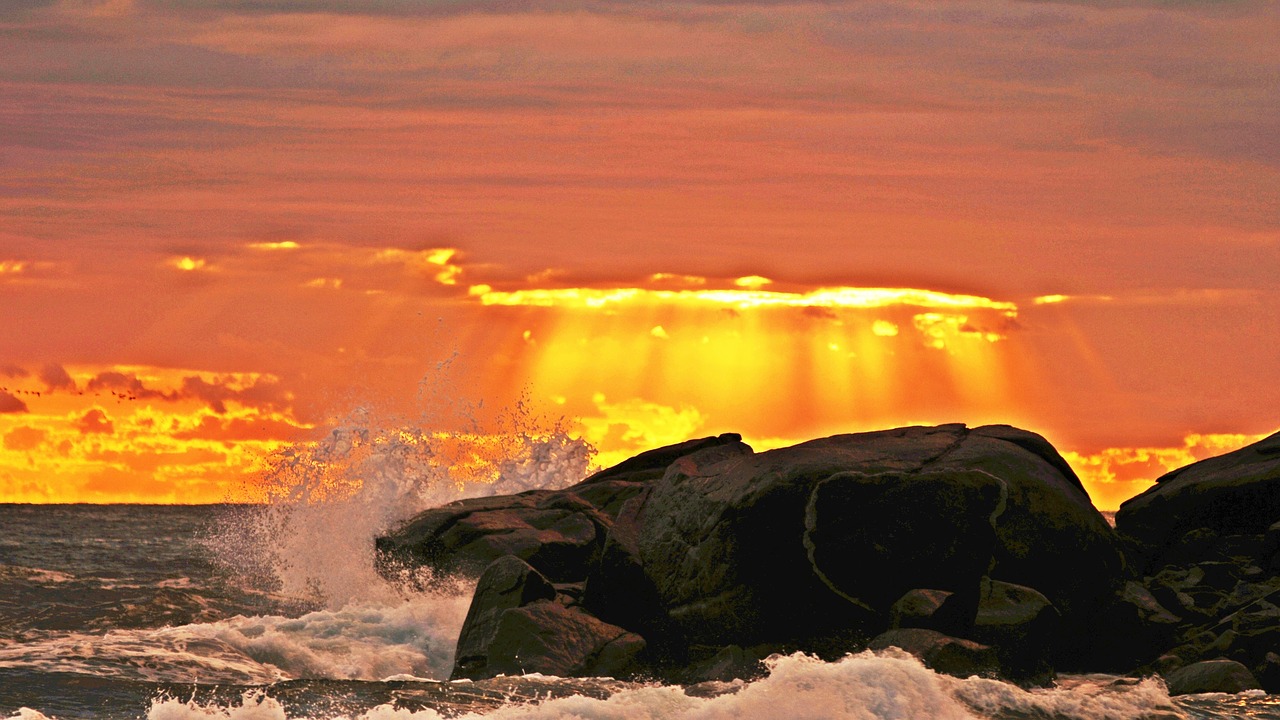 sea  gangneung  beach free photo