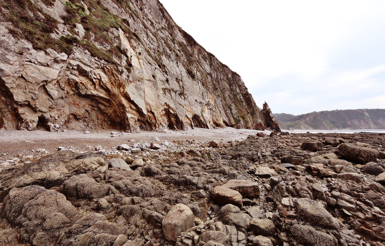 sea  beach  holiday free photo