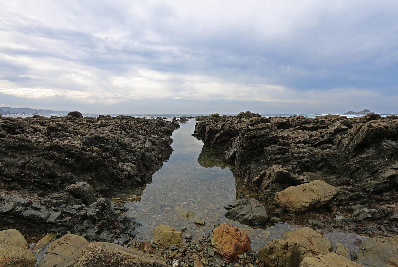 sea  beach  holiday free photo