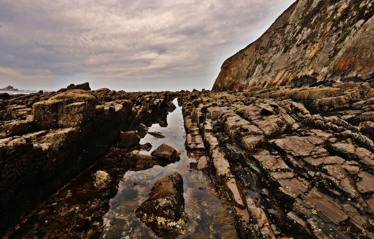 sea  beach  holiday free photo