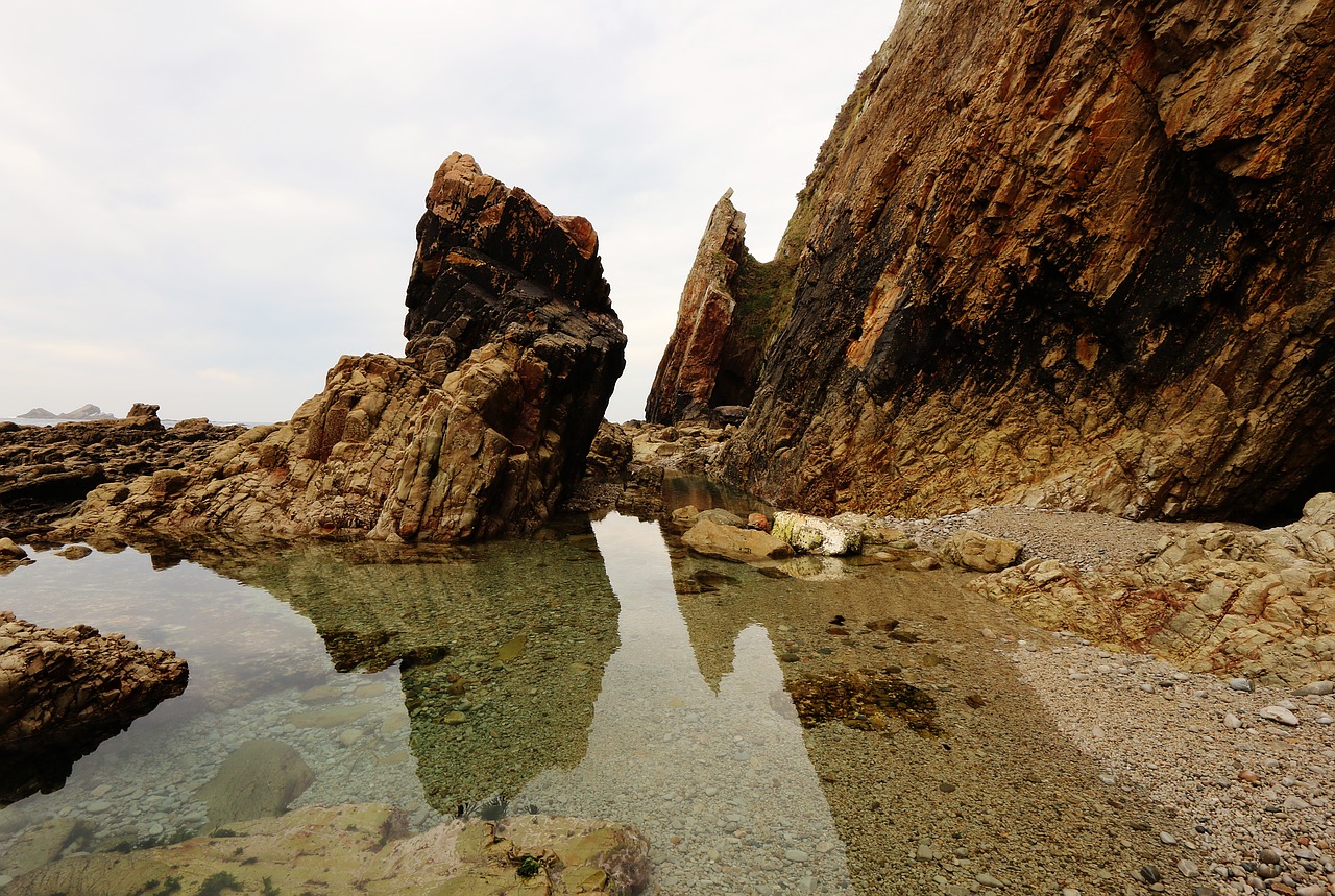 sea  beach  holiday free photo