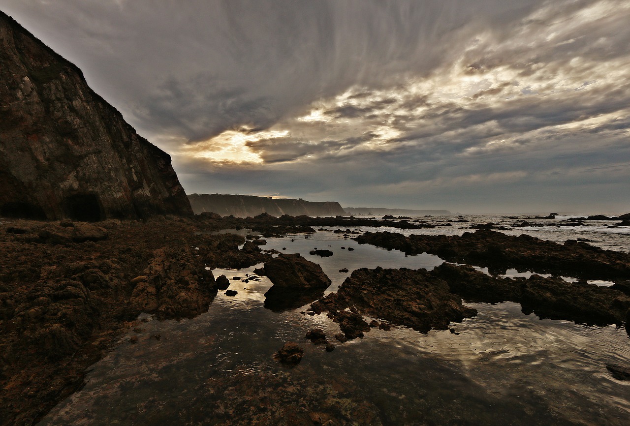 sea  beach  holiday free photo