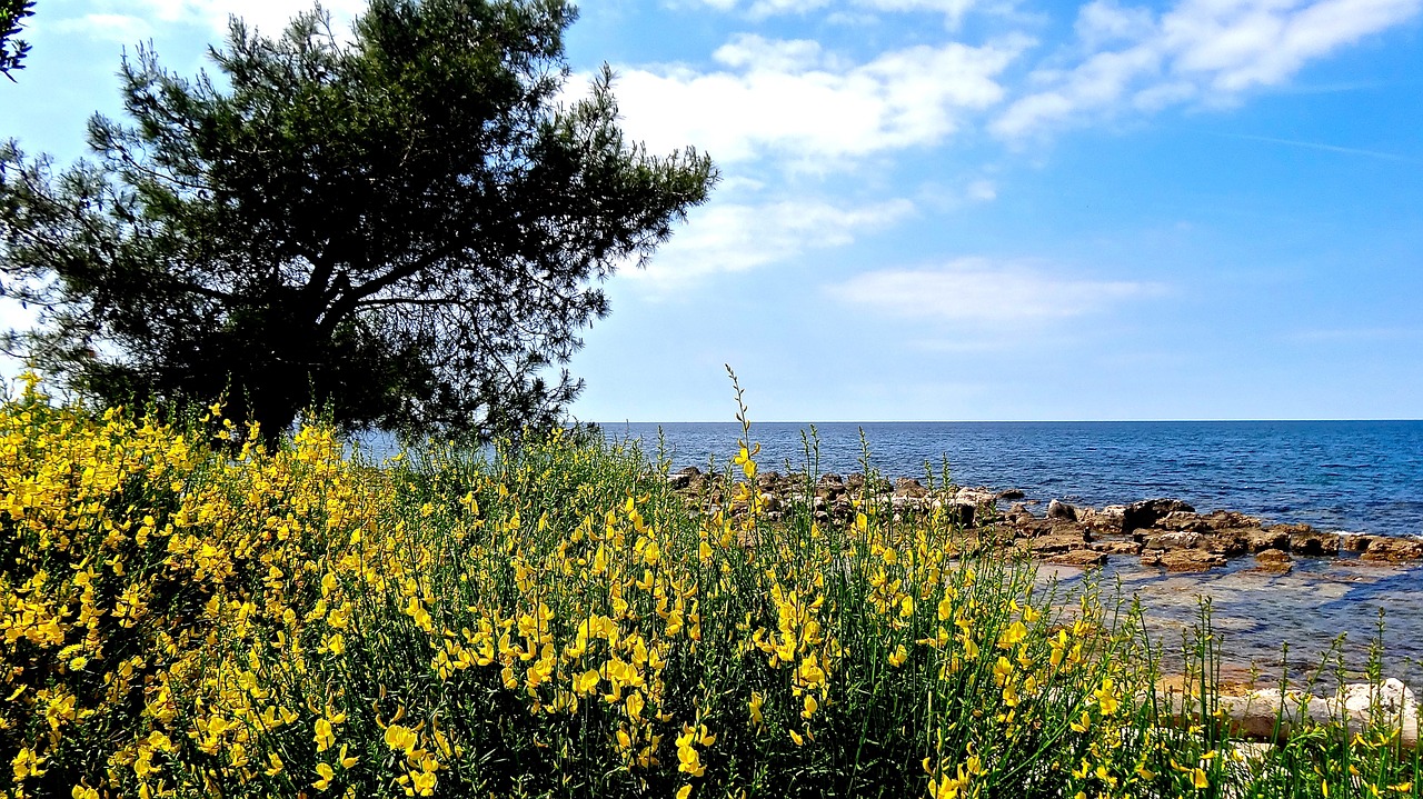 sea croatia adriatic sea free photo