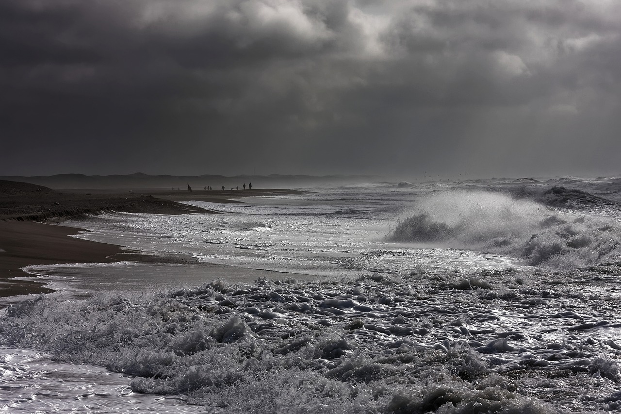 sea  nature  horizon free photo