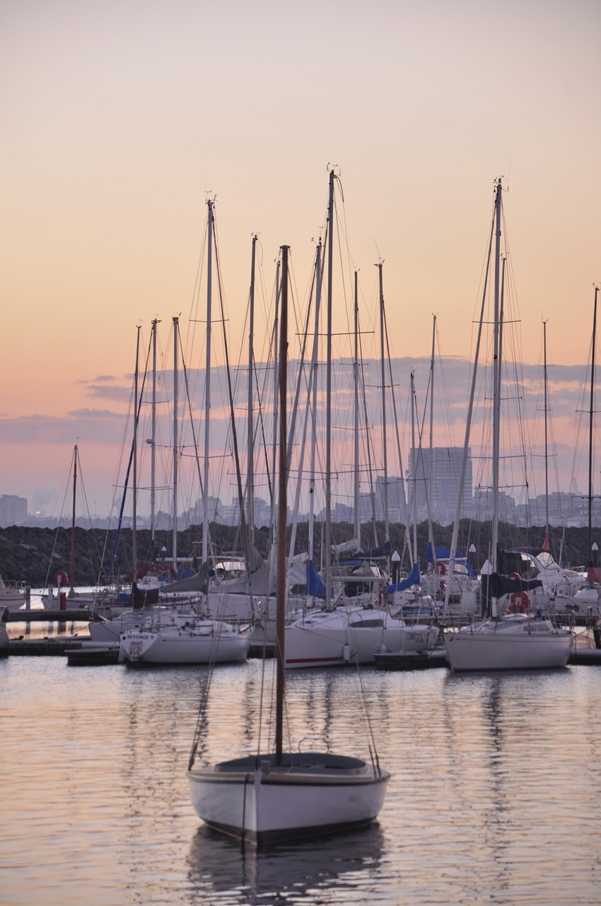 sea  beach  yacht free photo