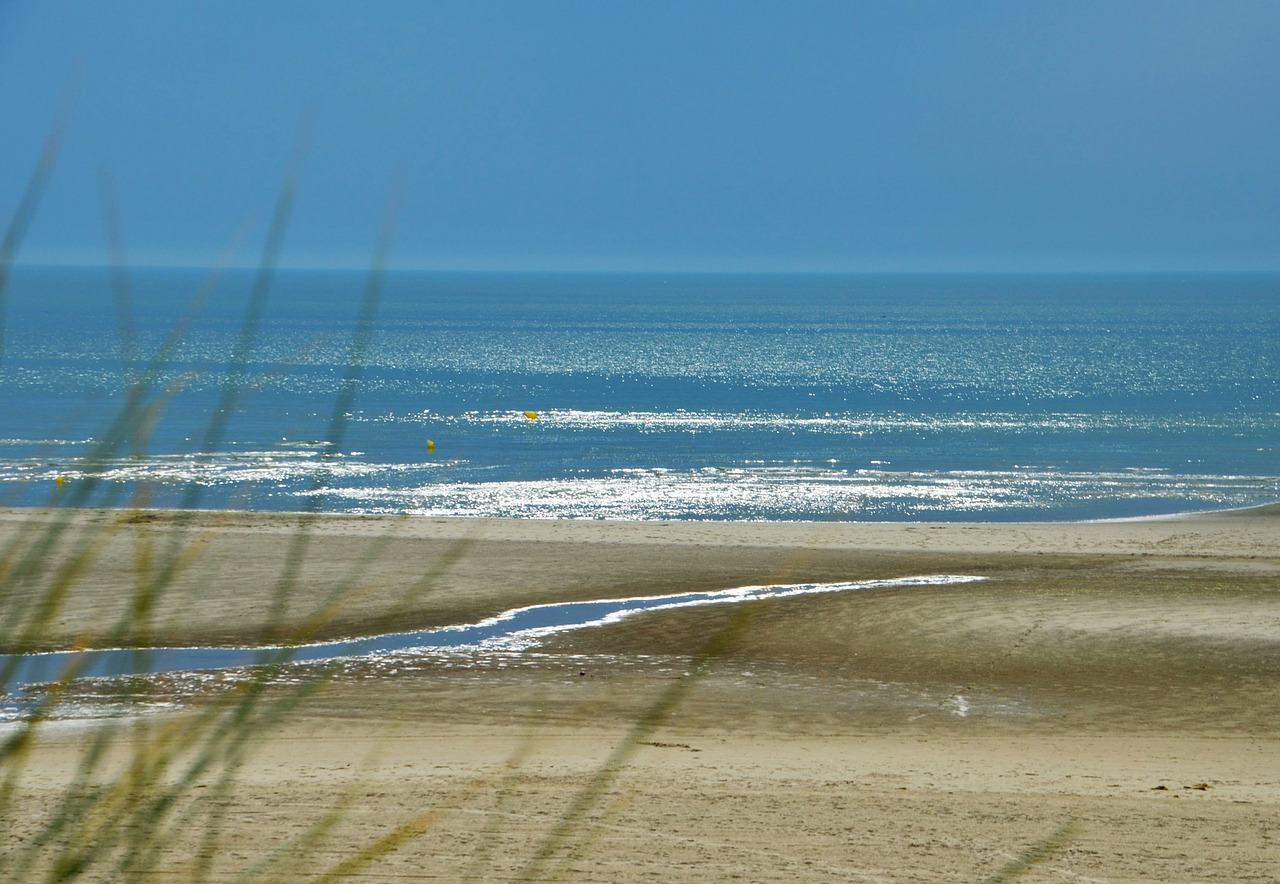 sea  beach  stella beach free photo