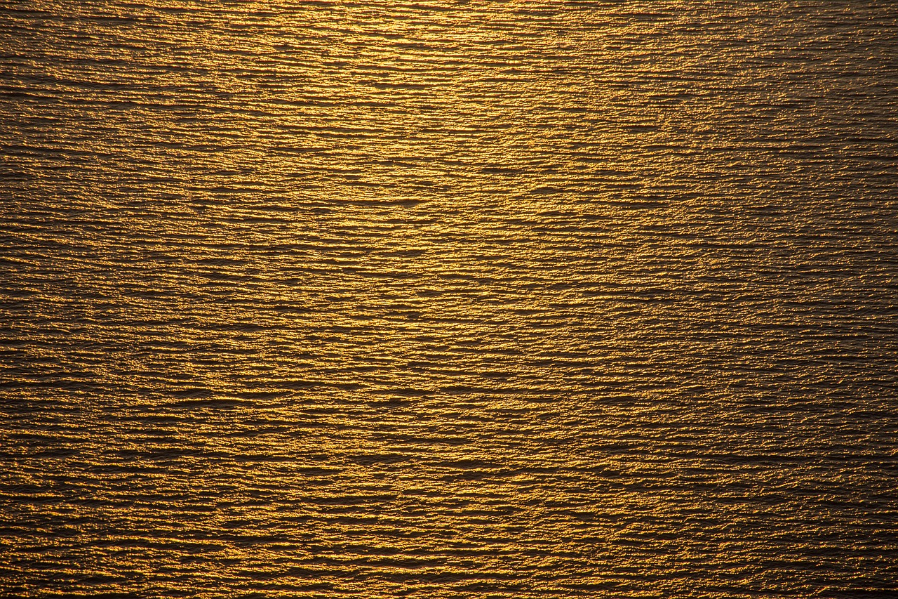 sea  gold  texture free photo