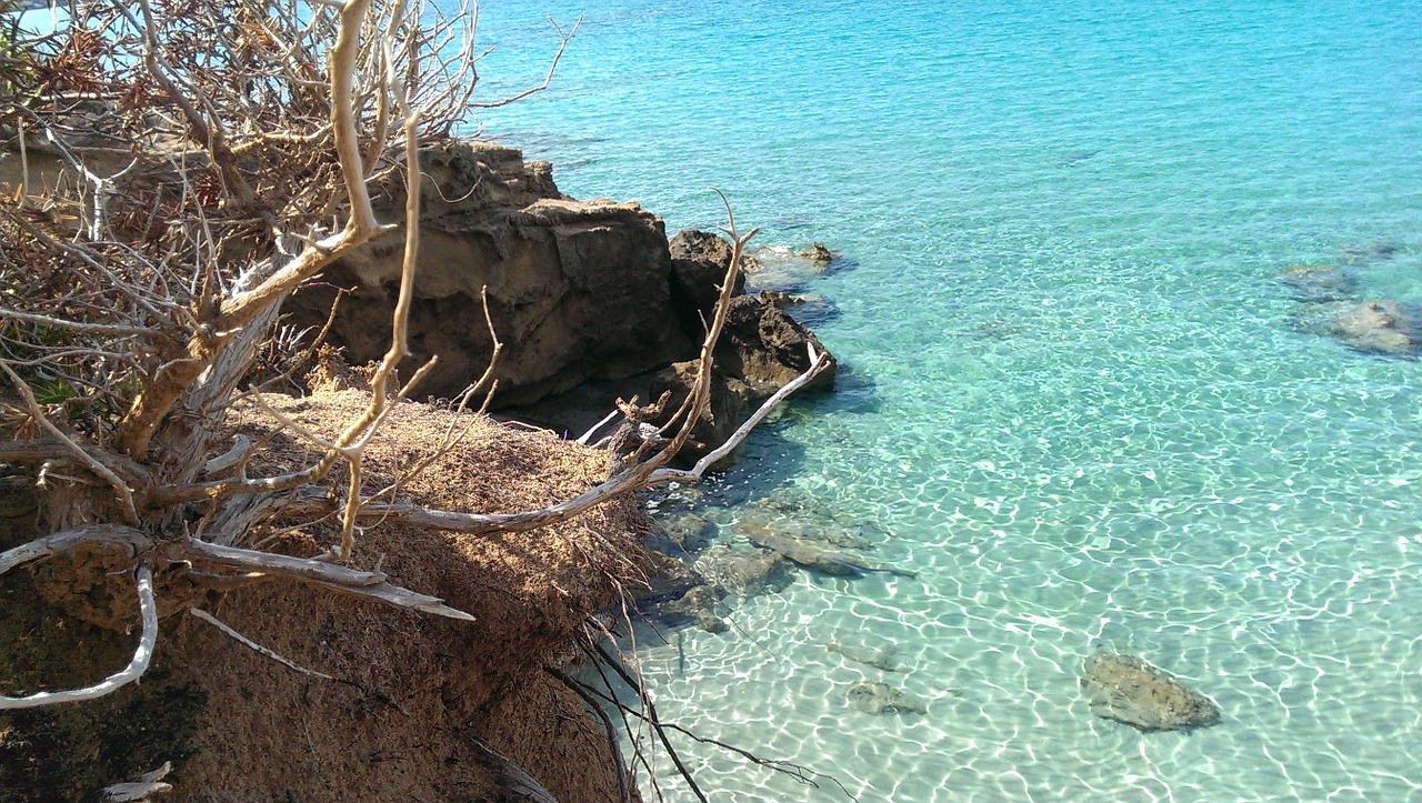 sea sardinia summer free photo