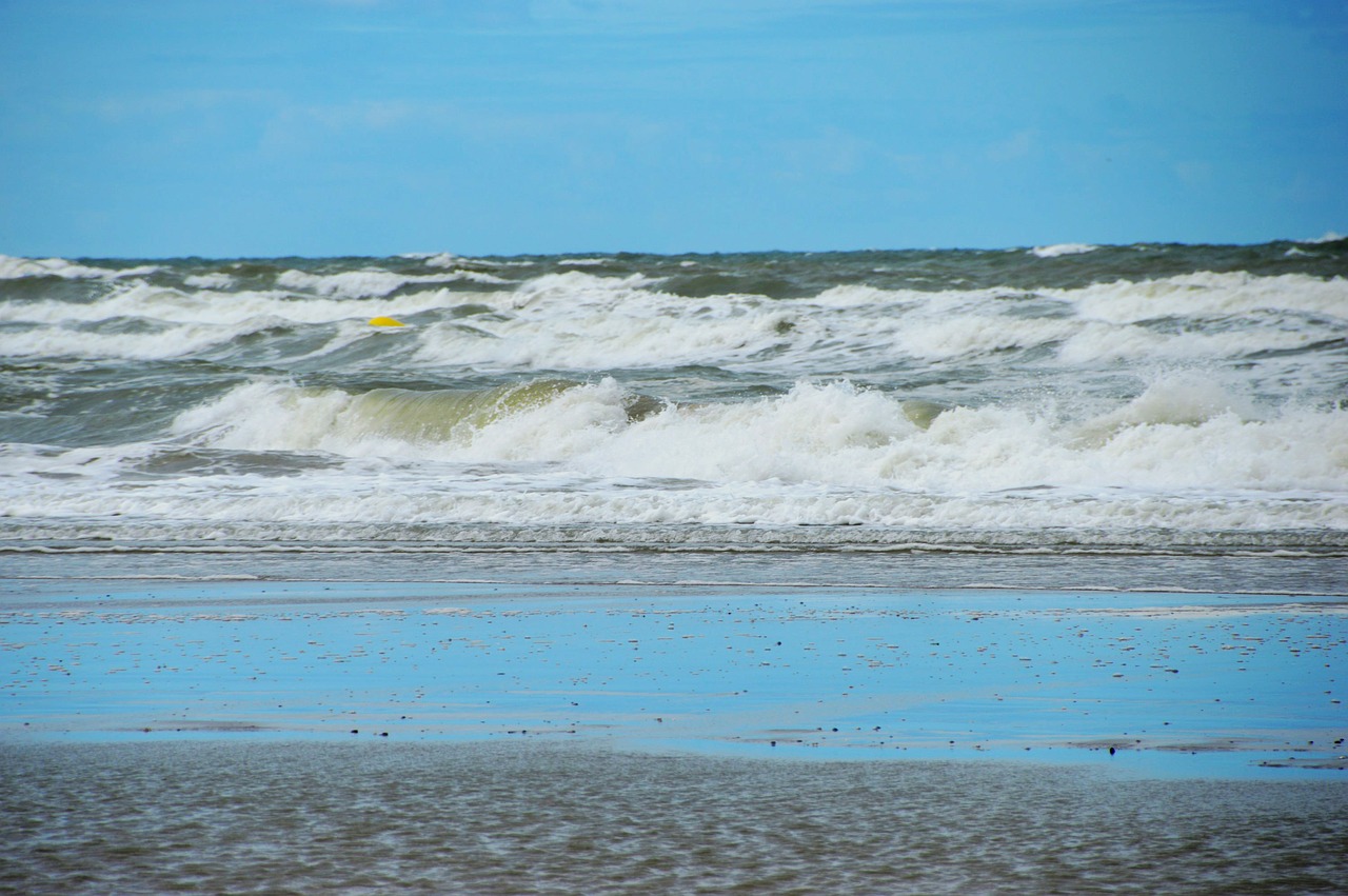 sea  beach  stella beach free photo