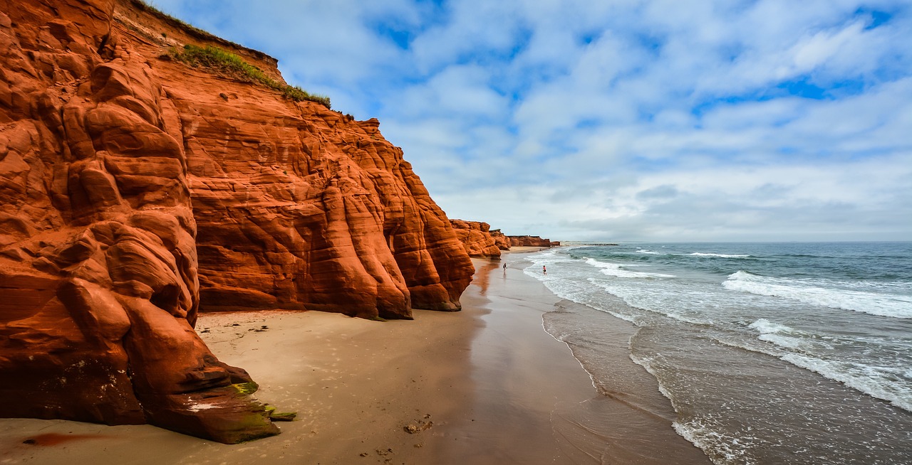 sea  cliff  cliffs free photo