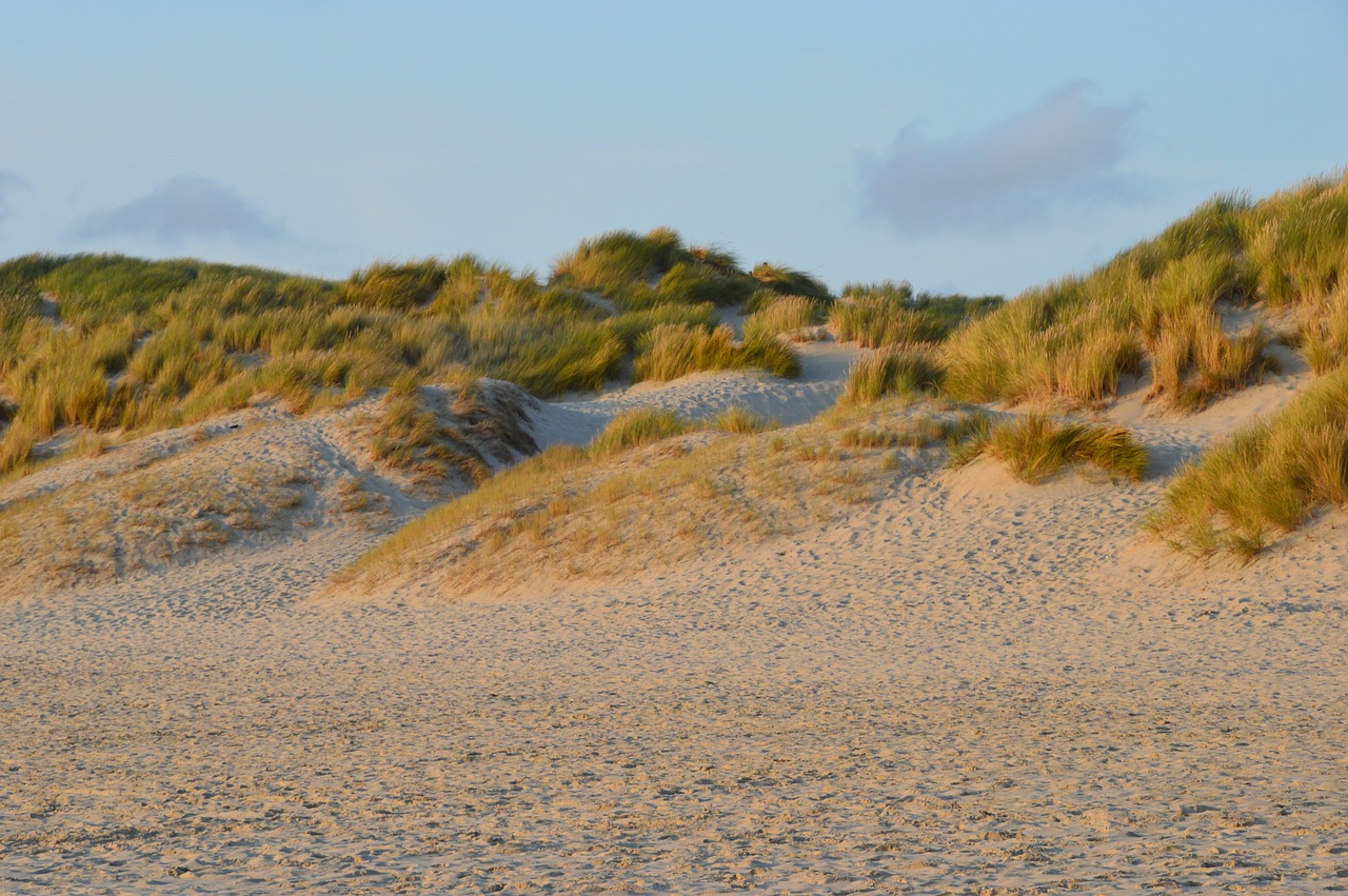 sea  beach  stella beach free photo