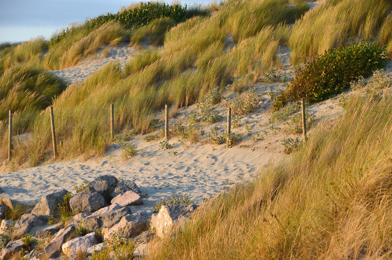 sea  beach  stella beach free photo