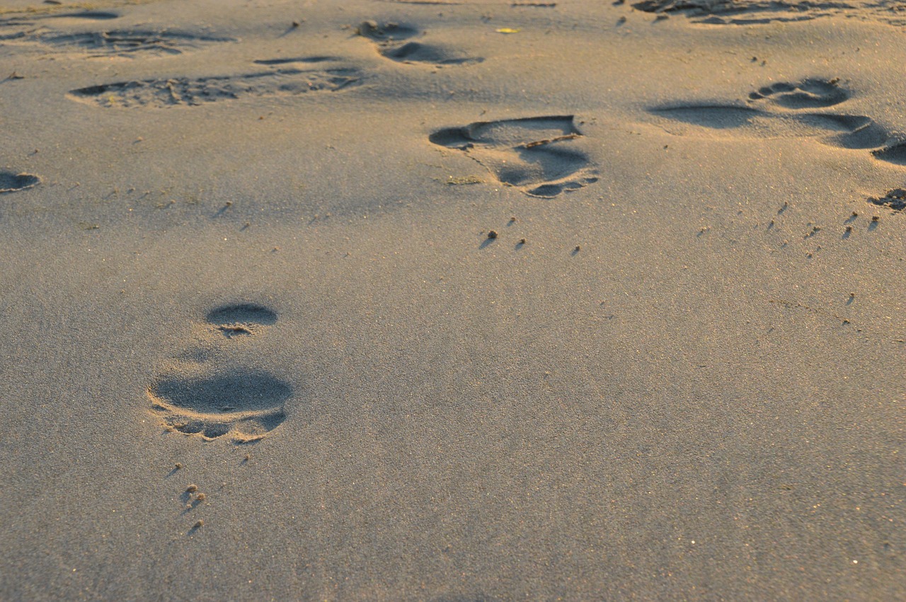 sea  beach  stella beach free photo