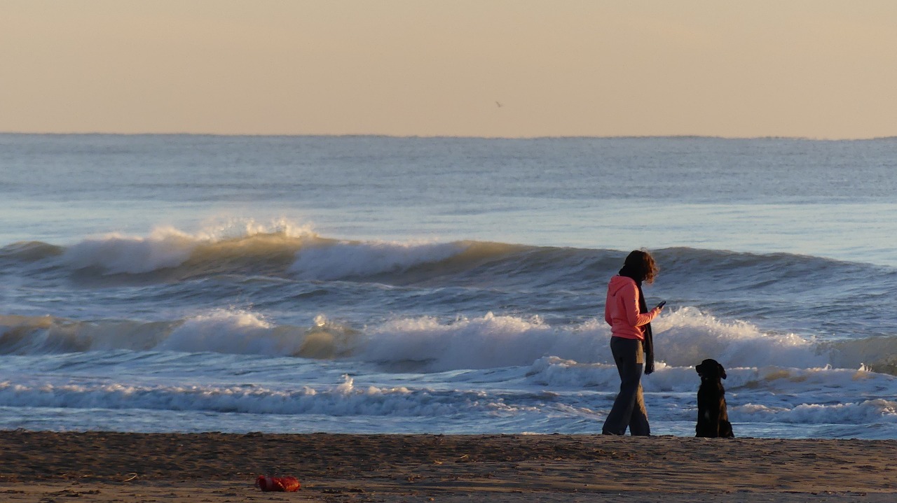 sea  man  dog free photo