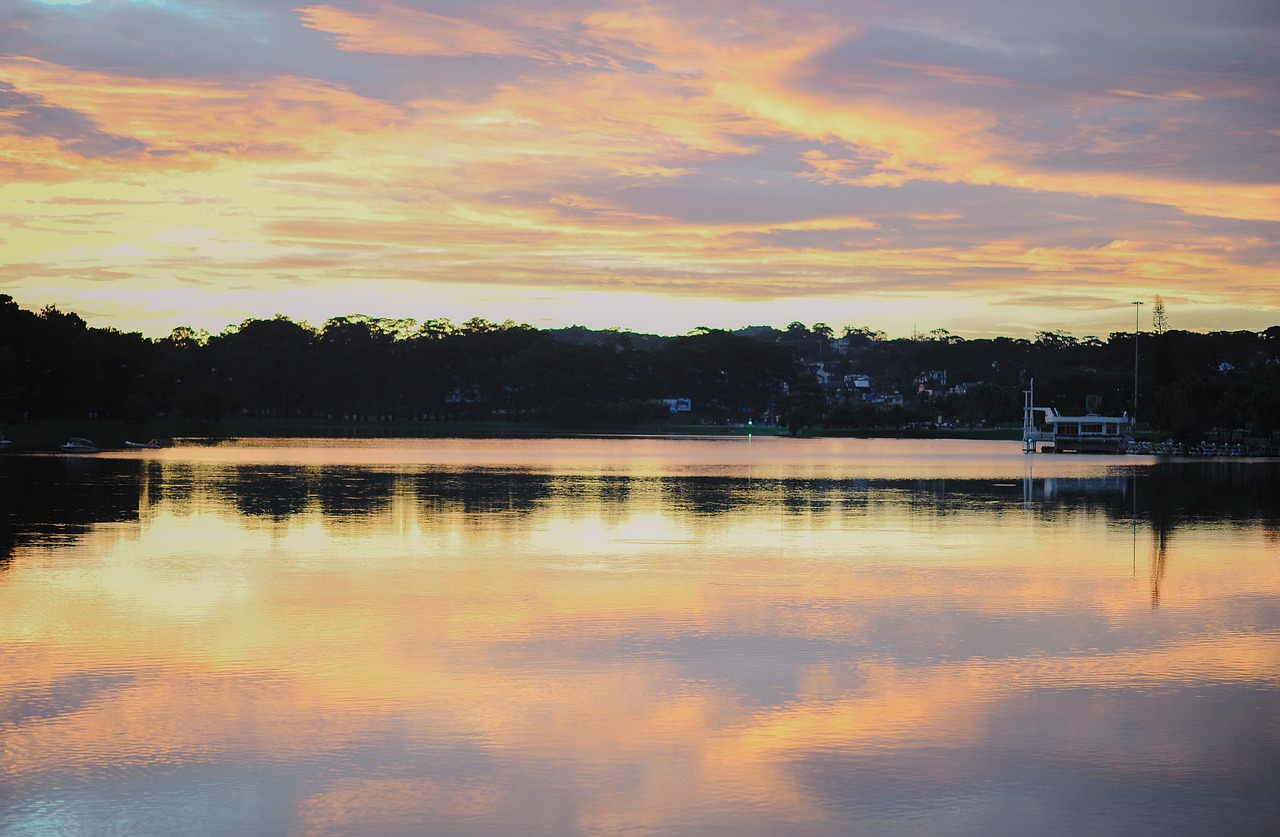 sea  beach  sunrise free photo