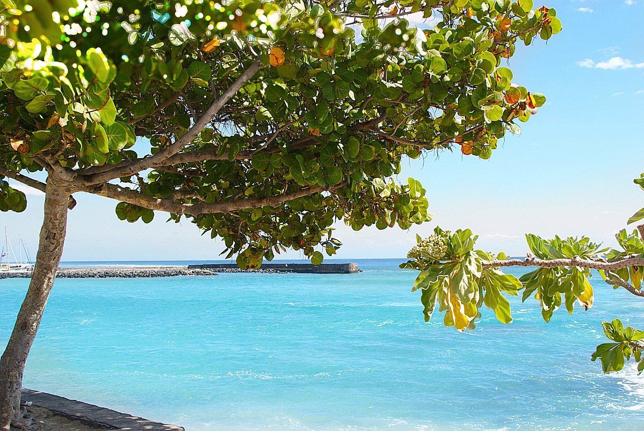 sea beach relax free photo