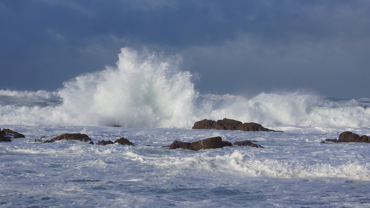 sea  surf  storm free photo