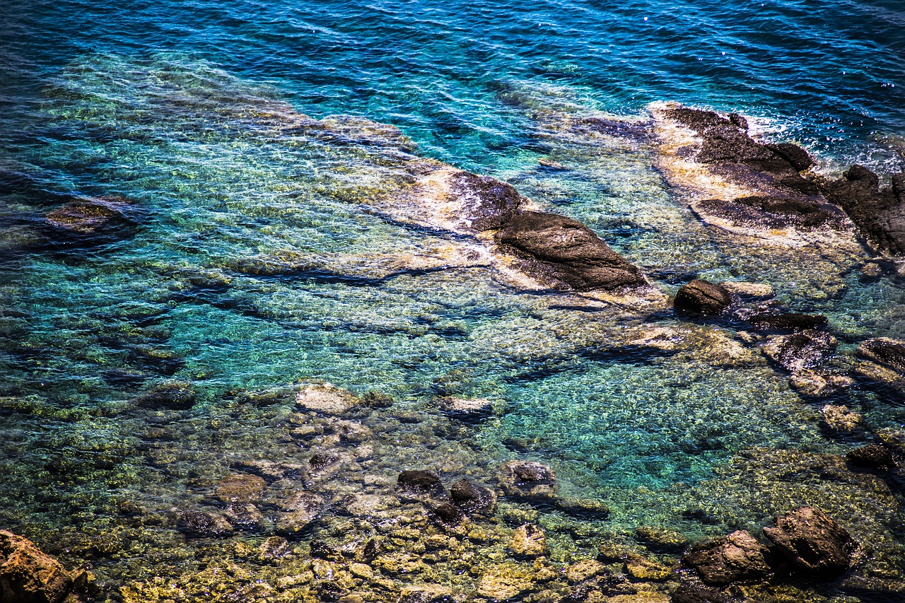 sea  stone  blue free photo