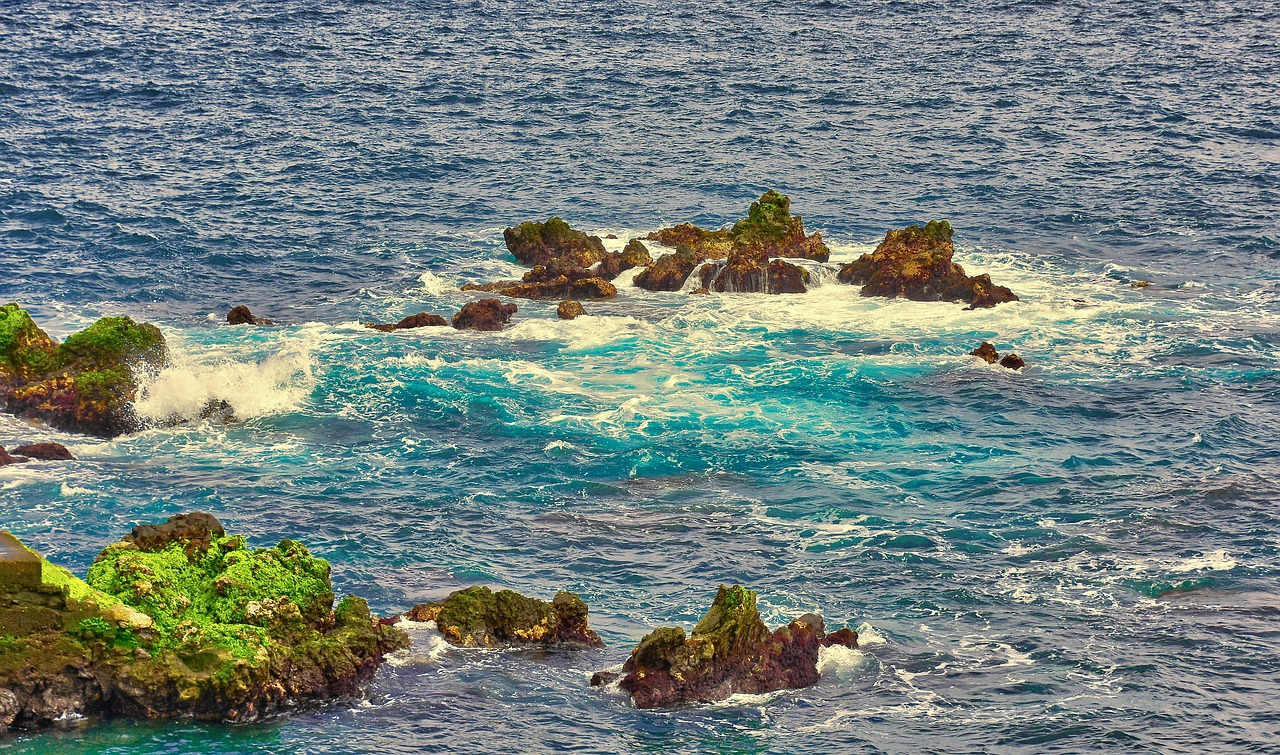 sea  rocks  ocean free photo