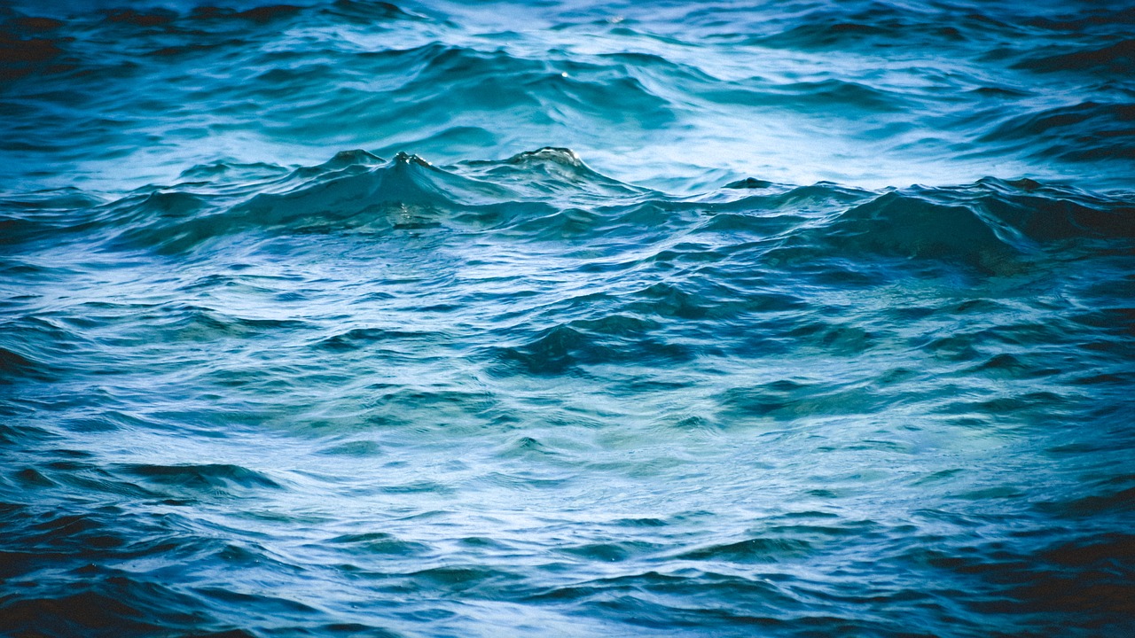 sea  wave  water free photo