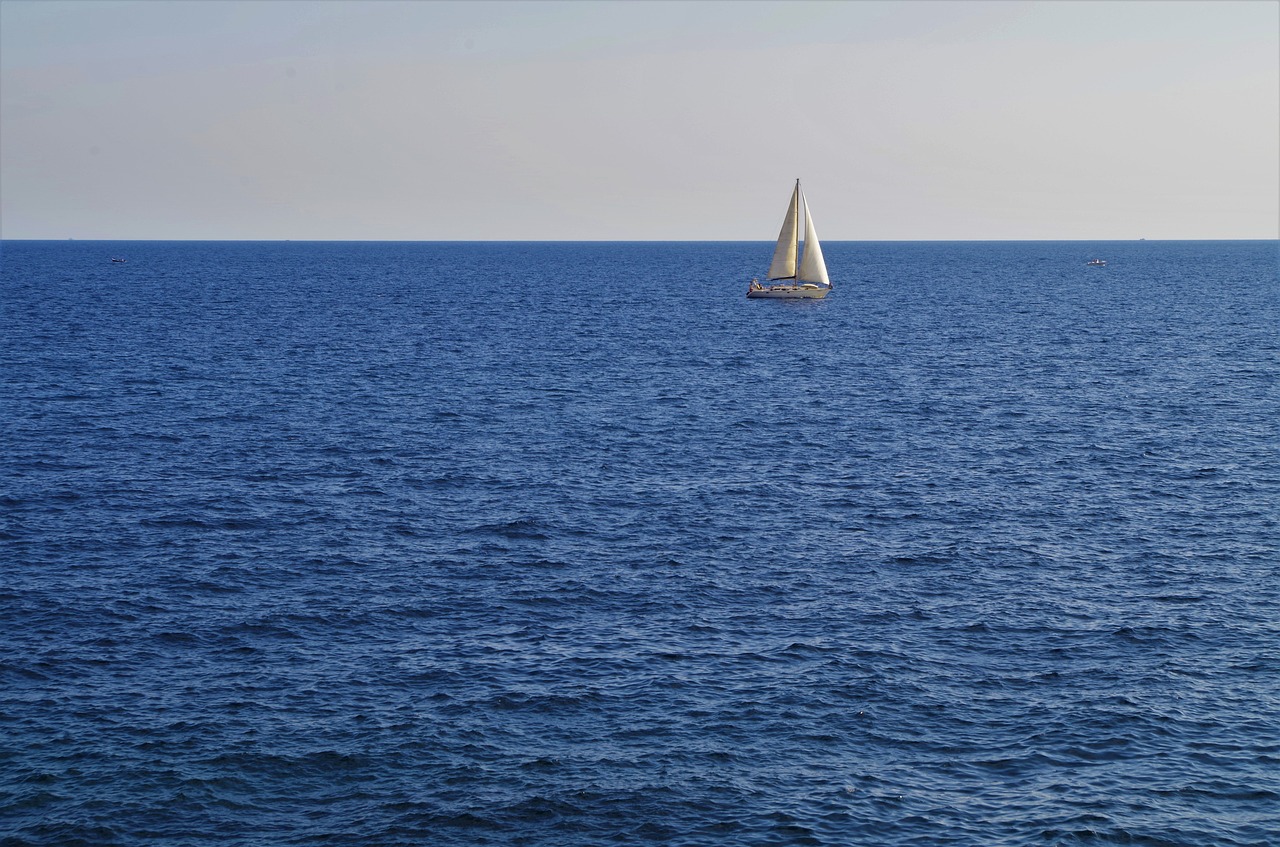 sea  waves  sky free photo