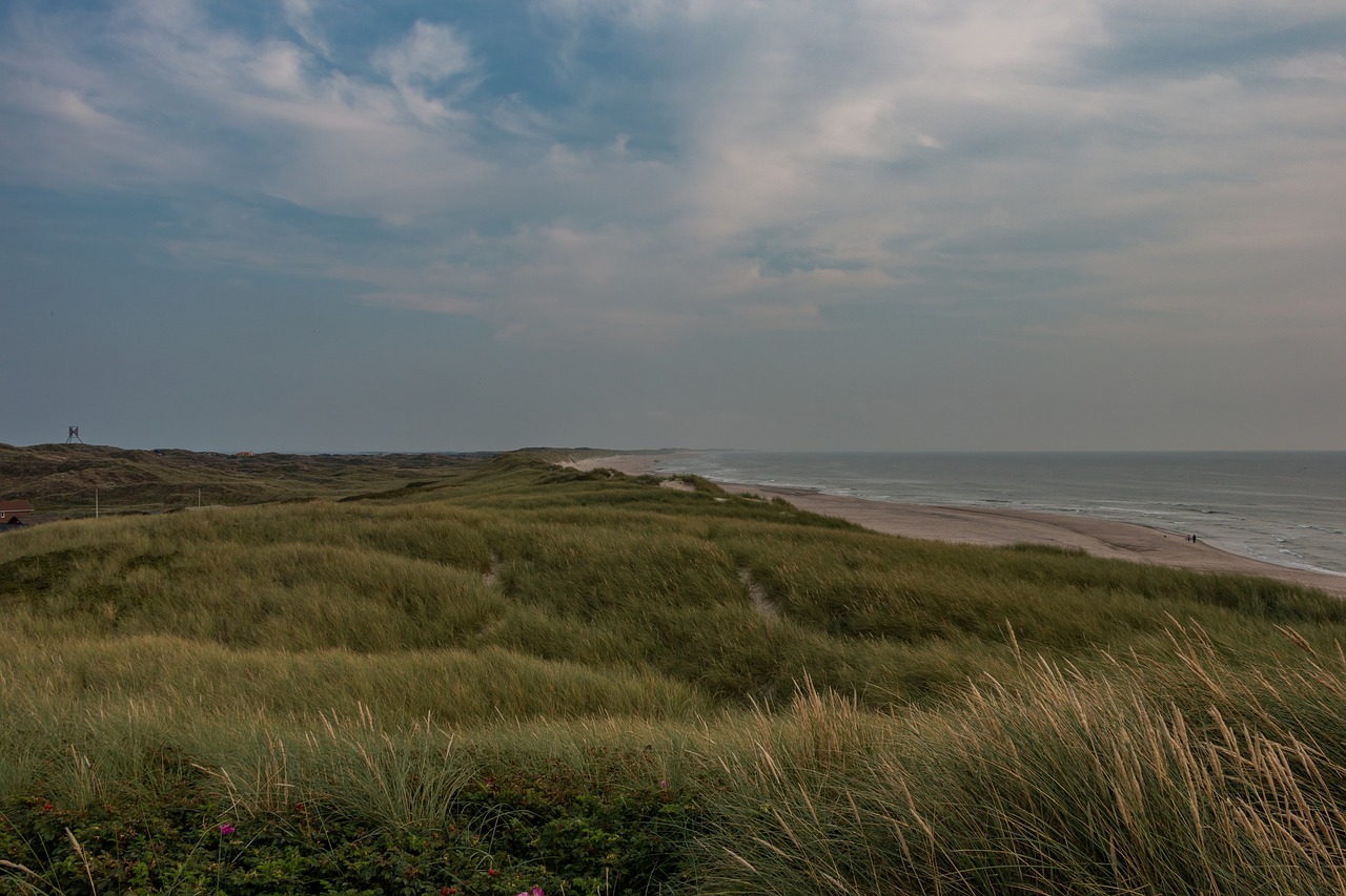 sea  dunes  beach free photo