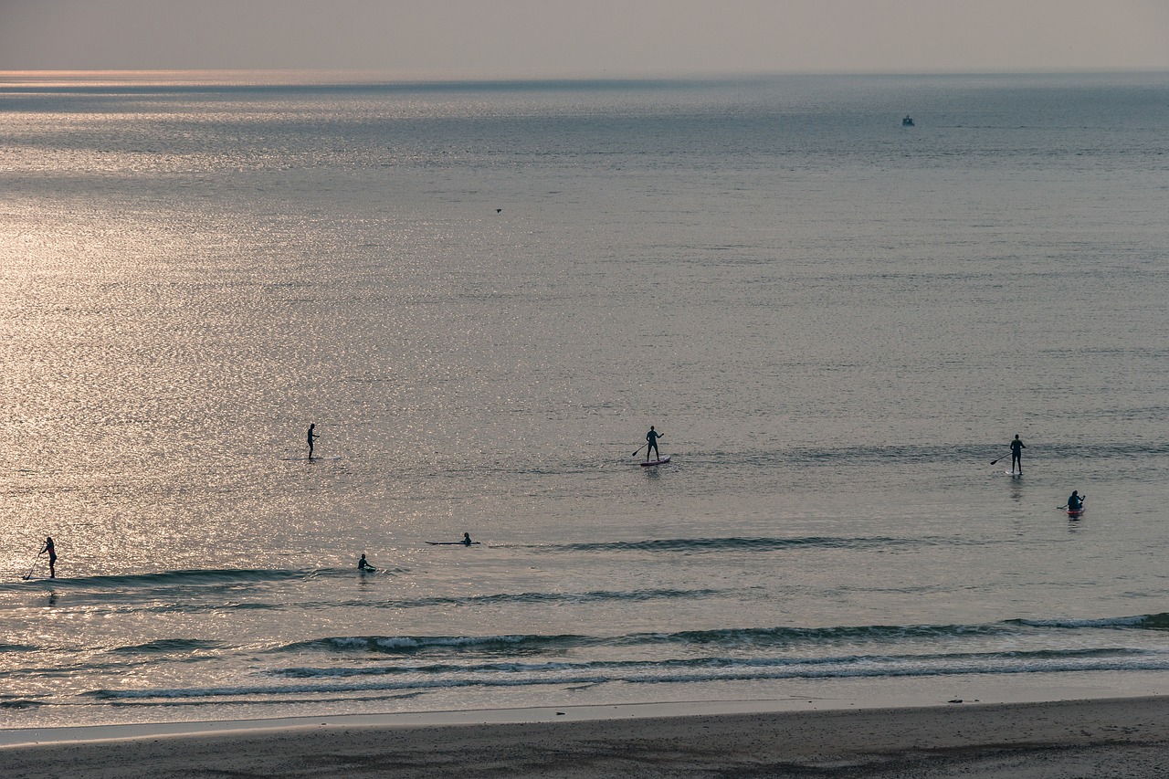 sea  surfer  denmark free photo