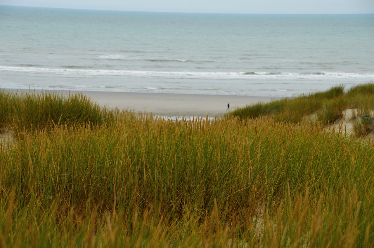 sea  beach  stella beach free photo