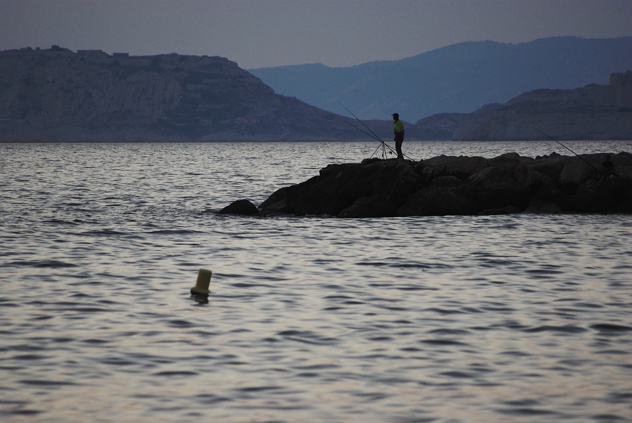 sea  twilight  side free photo