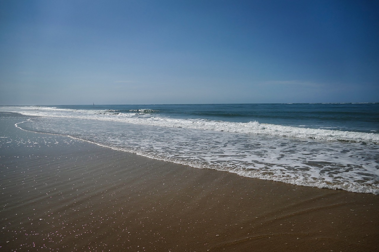 sea  beach  rest free photo