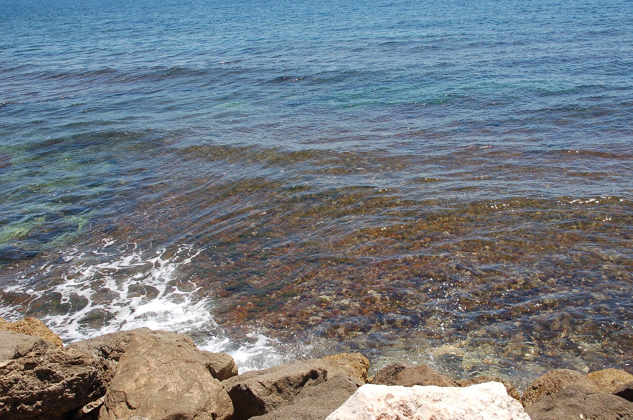 sea  wave  rock free photo