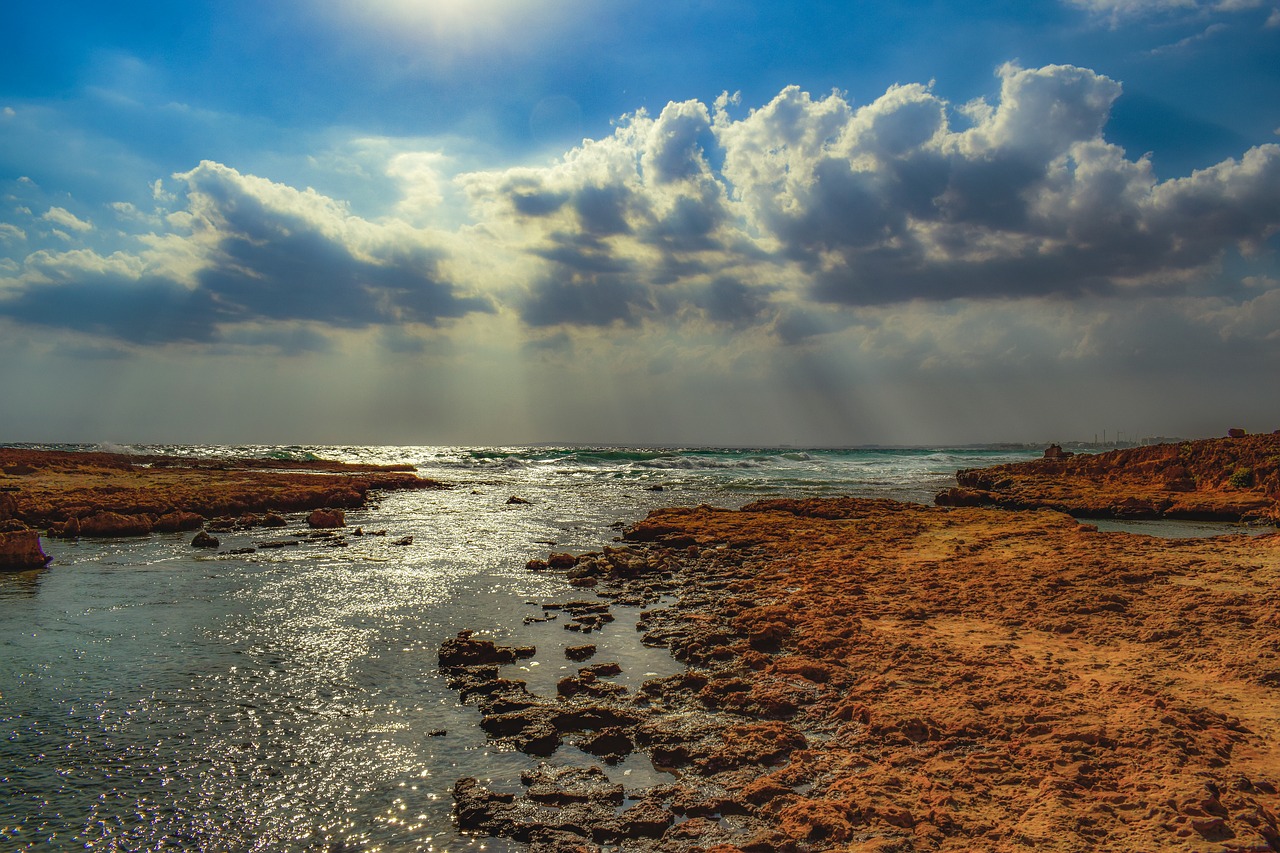 sea  beach  horizon free photo