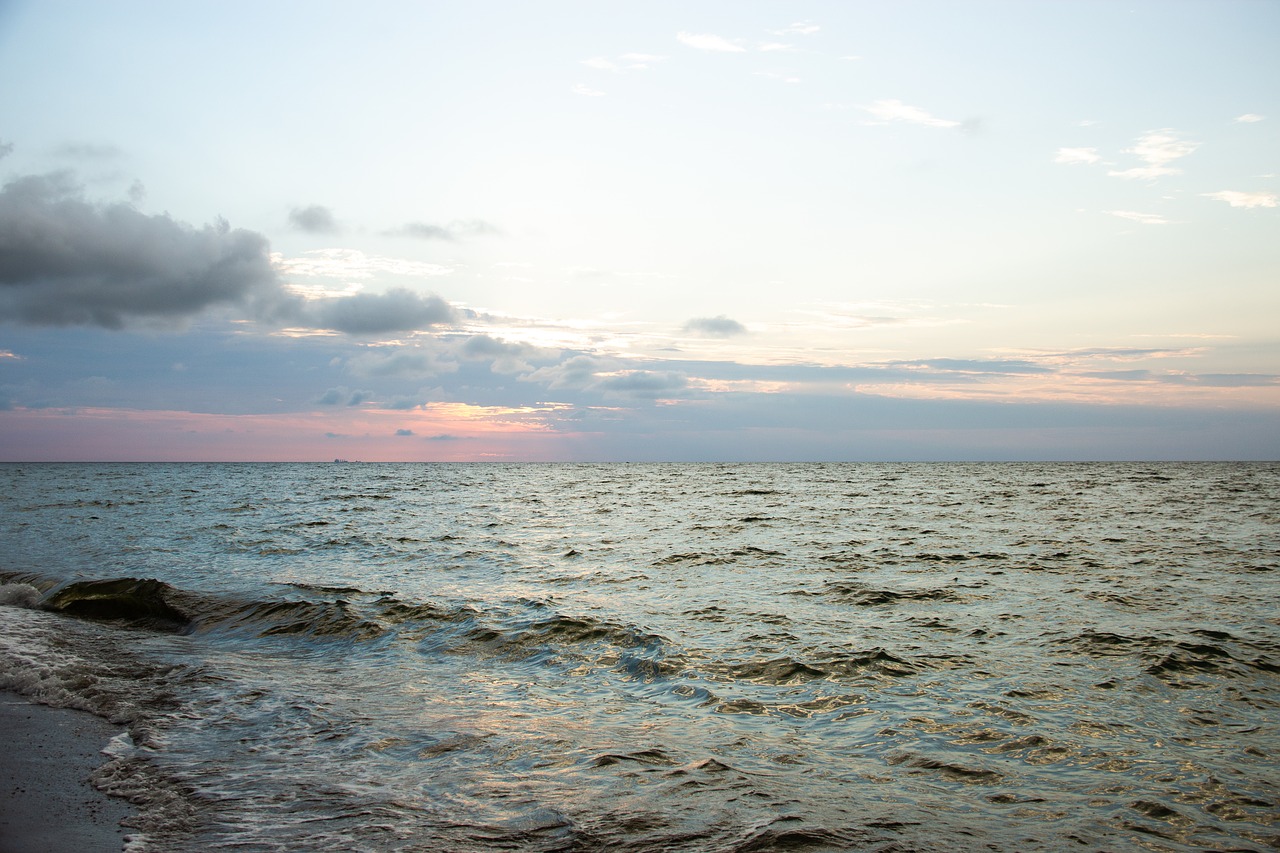 sea  beach  summer free photo