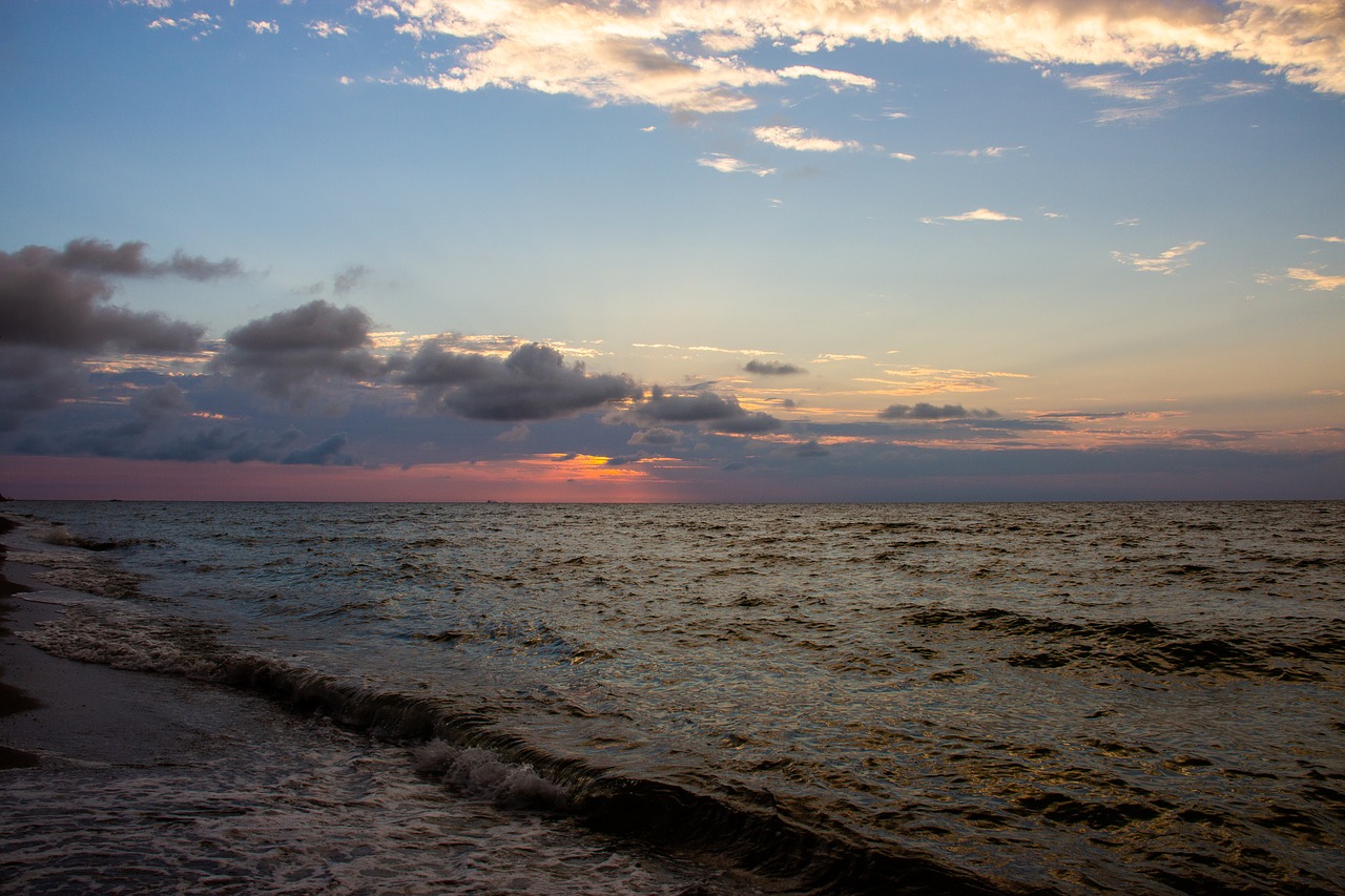 sea  beach  summer free photo