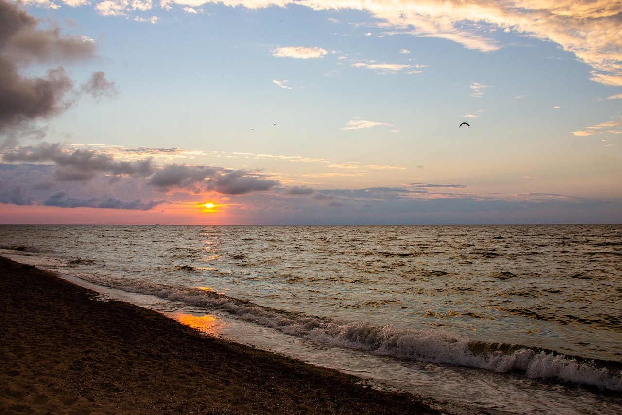 sea  beach  summer free photo