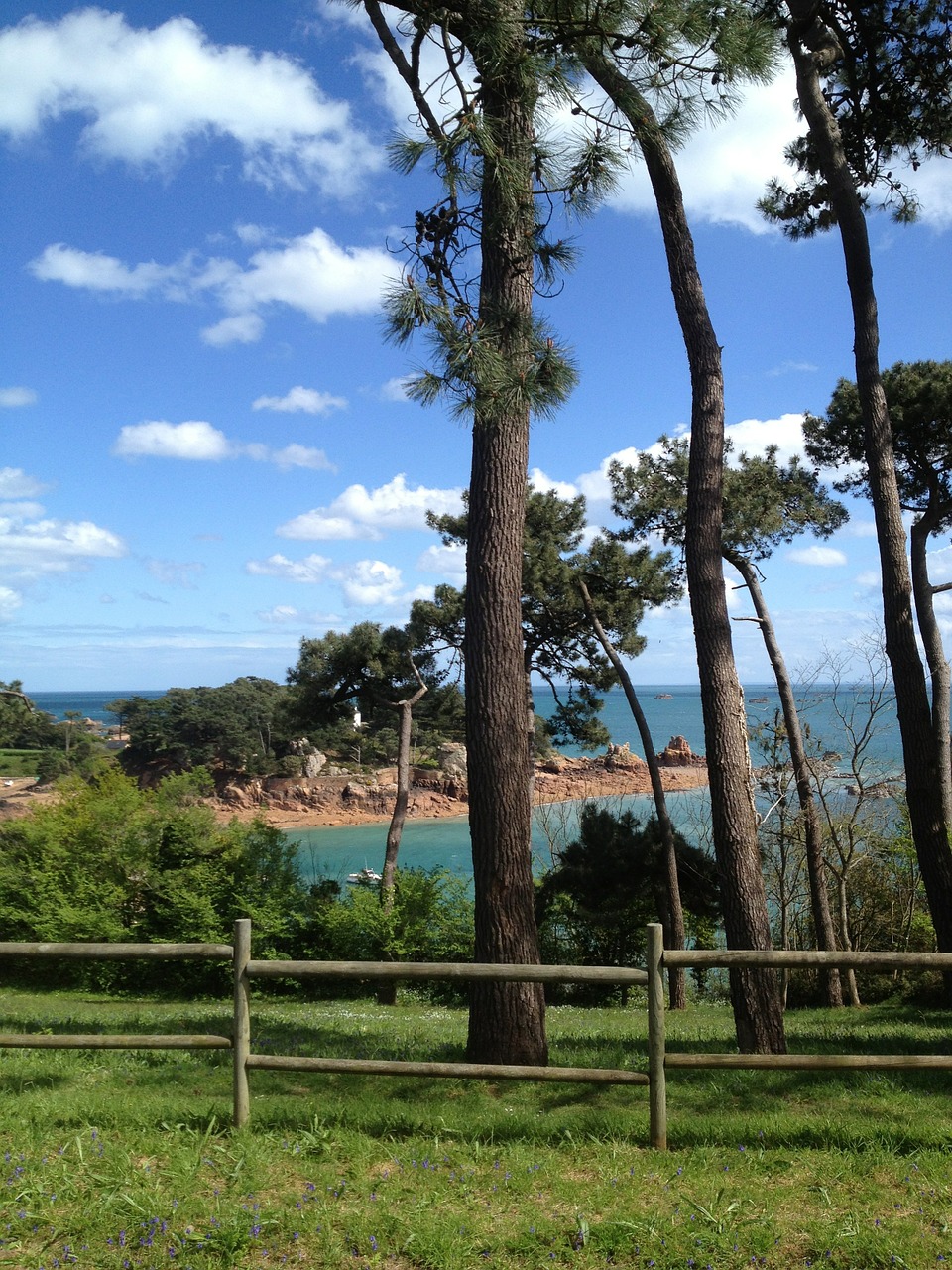 sea tree landscape free photo