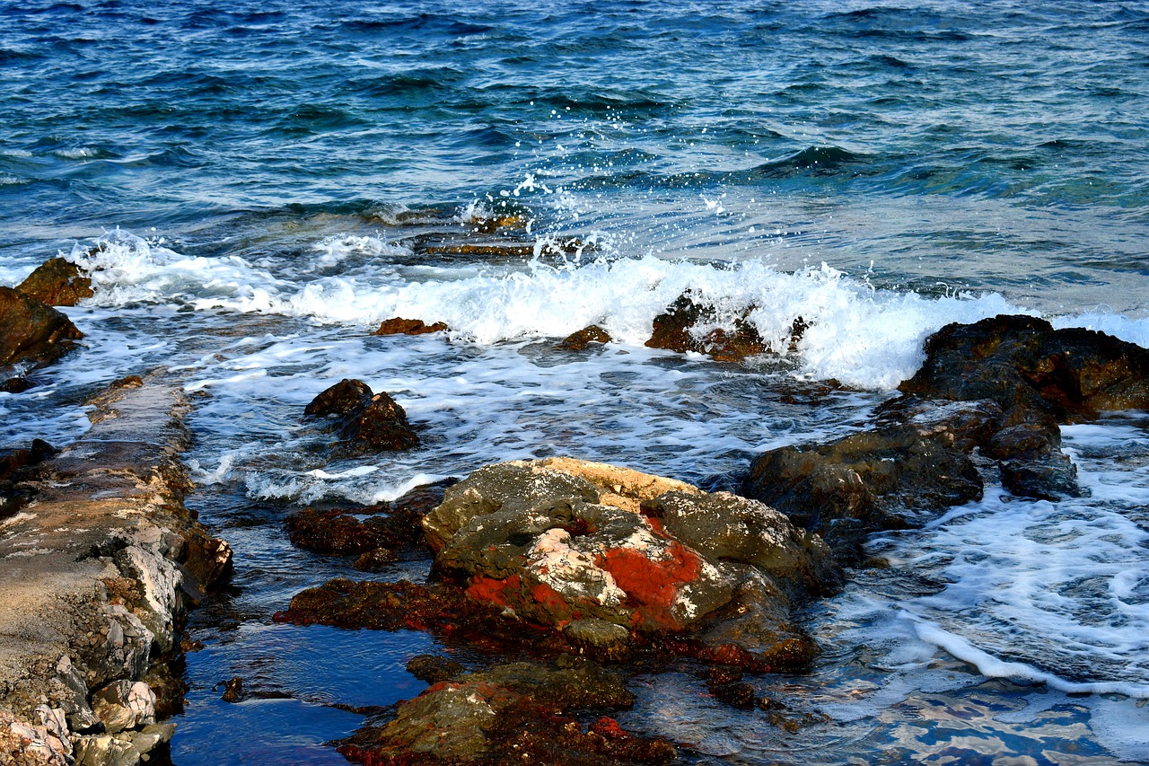 sea  wave  foam free photo