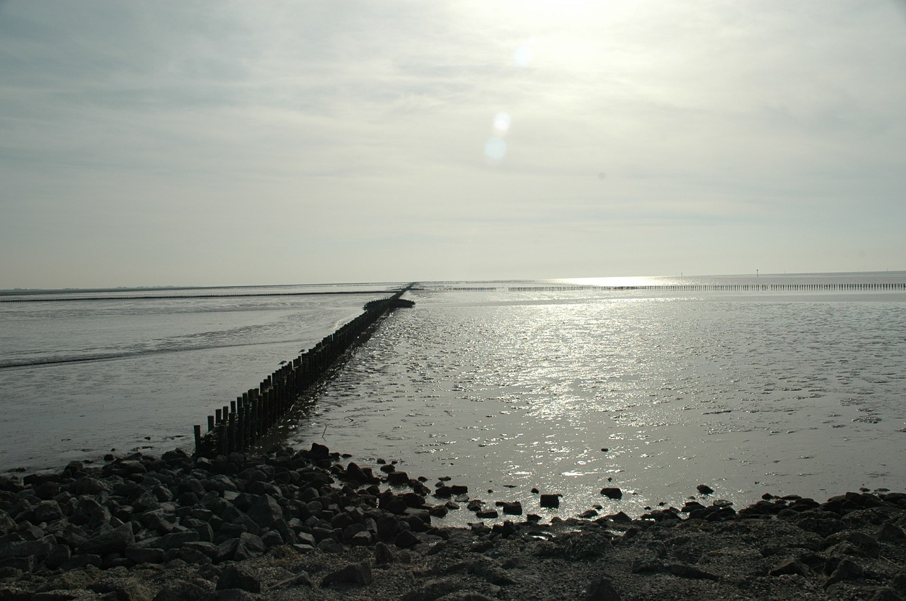 sea beach water free photo