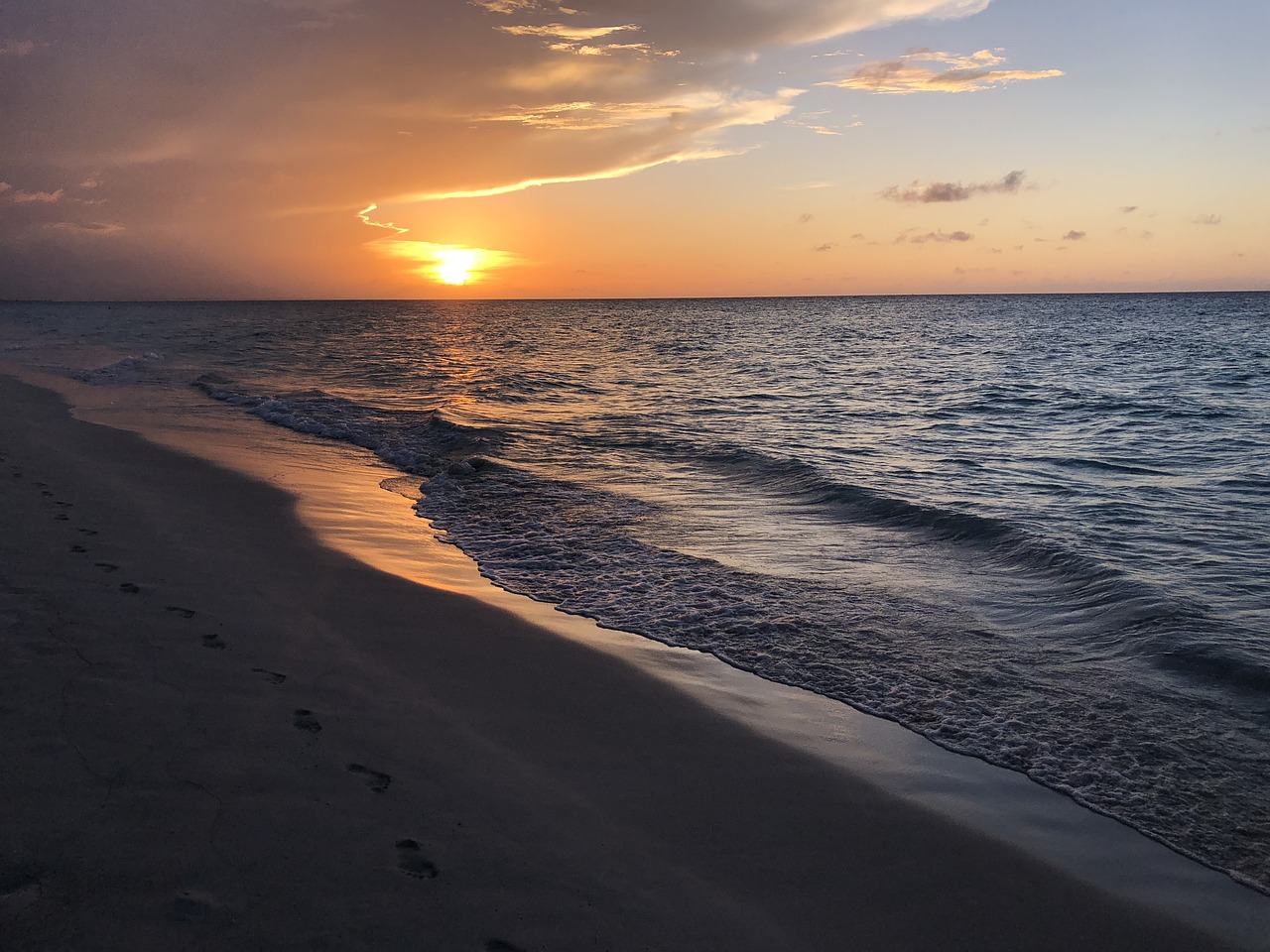 sea  beach  coast free photo