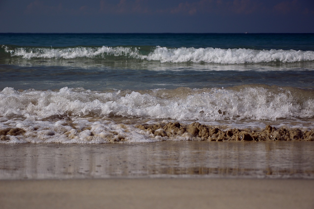 sea  wave  spray free photo